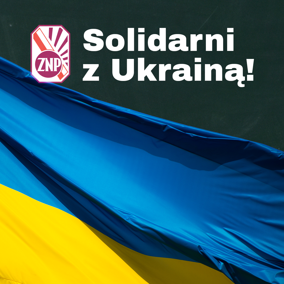 znp_sm_post_solidarniz-z-ukraina2